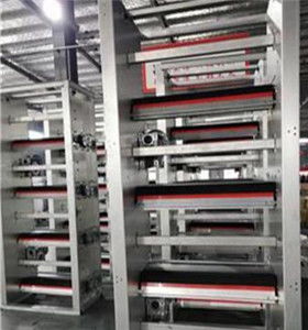 攜手創(chuàng)新，智贏未來 自動化蛋雞養(yǎng)殖設(shè)備技術(shù)咨詢與生產(chǎn)合作指南